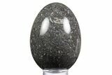 Polished Black Coquina Egg - California #334173-1